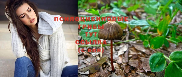 эйфоретик Липки